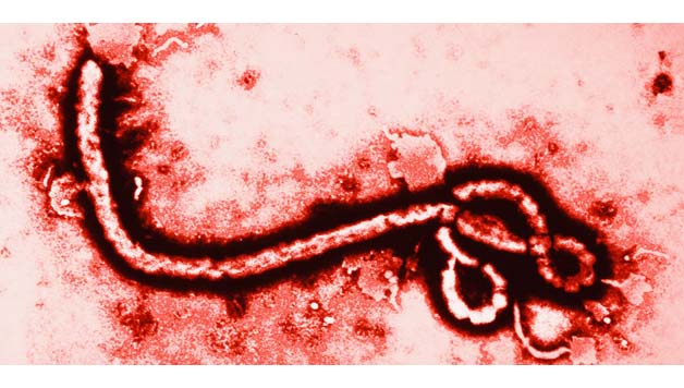 IBAIZABAL: Ebolari buruzko tratamendua hedabideetan