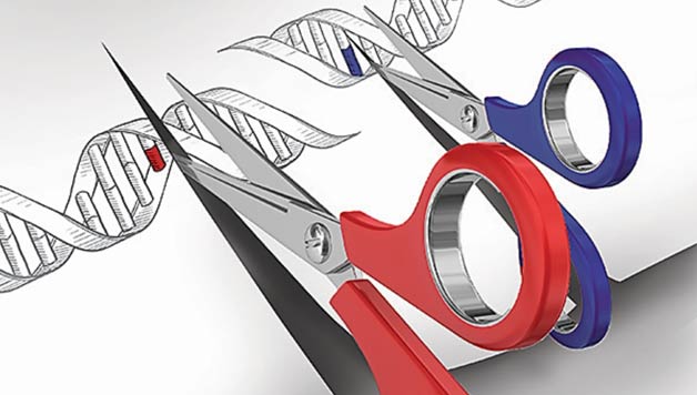 ZIENTZIALARI: CRISPR, geneak eraldatzeko teknika