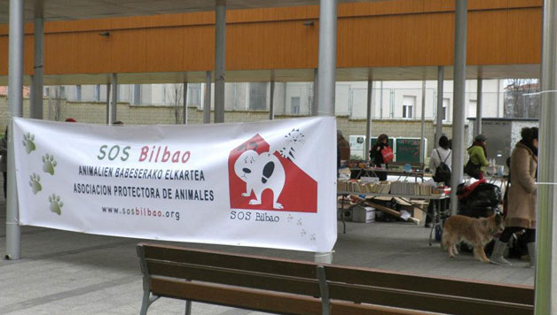 SOS Bilbao animalien babeserako elkartea